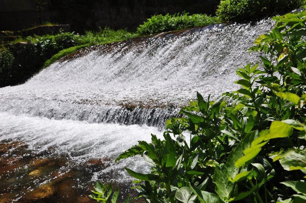 A Look Into The River Apartment Avo Bagian luar foto